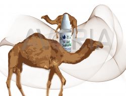 Avoria Tabak Wild Sahara (12ml)